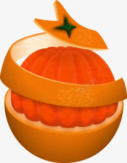 橘子皮水果装饰矢量图素材