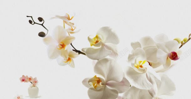 白色简约花朵广告jpg设计背景_88icon https://88icon.com 广告 白色 简约 花朵