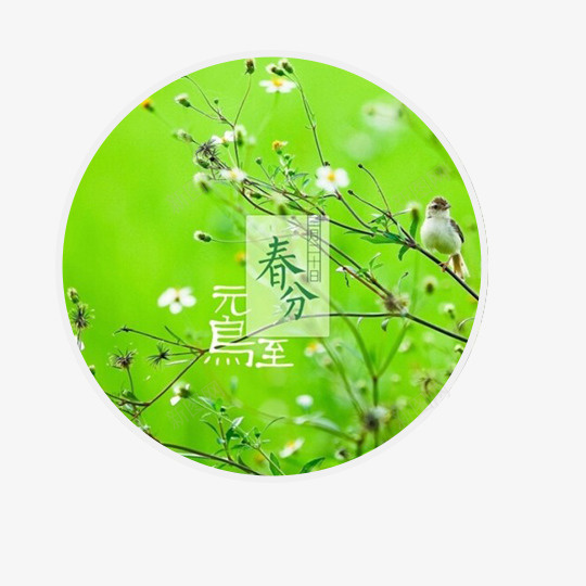 圆形春分节气插画png免抠素材_88icon https://88icon.com 二十四节气 圆形 插画 春分