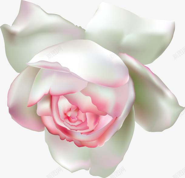 手绘白色花朵png免抠素材_88icon https://88icon.com 唯美 小清新 手绘 渐变 白色 花朵 花瓣 质感