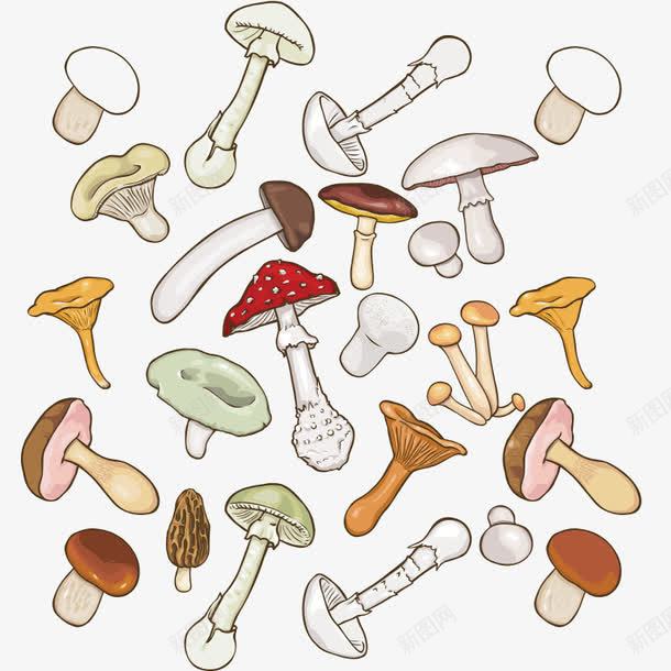 蘑菇菌类png免抠素材_88icon https://88icon.com 卡通 卡通蘑菇 大全 菇类 菌类 蘑菇