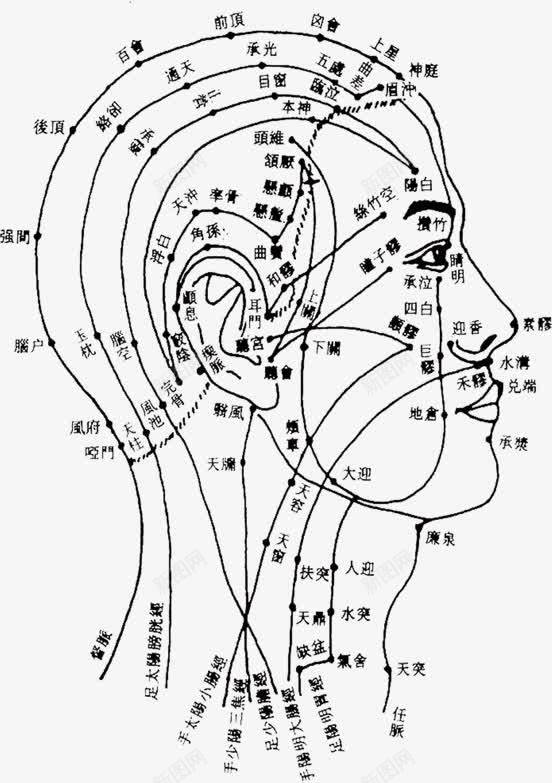 人体穴位图png免抠素材_88icon https://88icon.com 中医 人体 人体穴位图 穴位 脸部