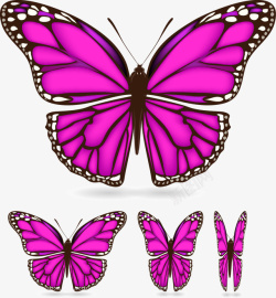 漂亮的紫色蝴蝶矢量图素材