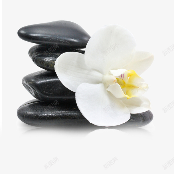 黑石png免抠素材_88icon https://88icon.com 堆砌 白色 花朵 黑石