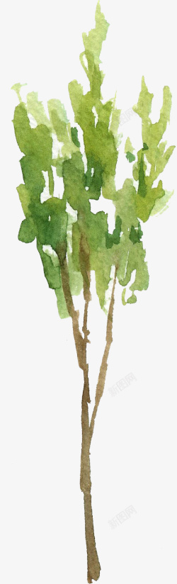 细高细高的手绘水彩树高清图片