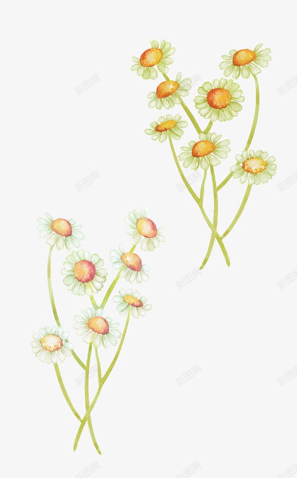 素雅小雏菊png免抠素材_88icon https://88icon.com 一簇花 深景淡景 雏菊装饰