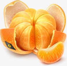 手绘拨开的橘子水果素材