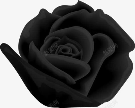 手绘计算机手绘黑色玫瑰图标图标