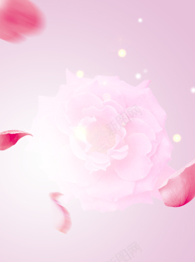 化妆品香水粉色海报背景背景