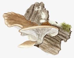 手绘蘑菇枯木素材