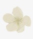 创意合成白色的花瓣素材