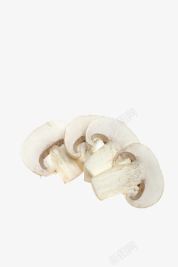 一半白色蘑菇素材