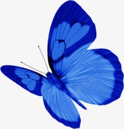 手绘蓝色纹理墙壁装饰蝴蝶素材