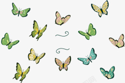 翩翩飞舞的蝴蝶飞舞的蝴蝶花纹矢量图高清图片