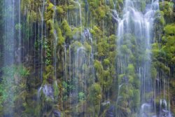 山间瀑布苔藓瀑布山间海报背景高清图片