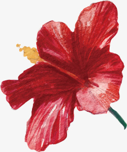 手绘红色花朵矢量图素材