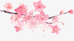 粉色创意春天桃花花开素材