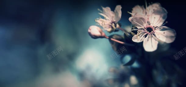 复古花朵背景背景