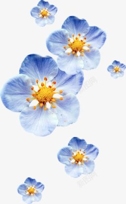 蓝色渐变花朵花瓣素材