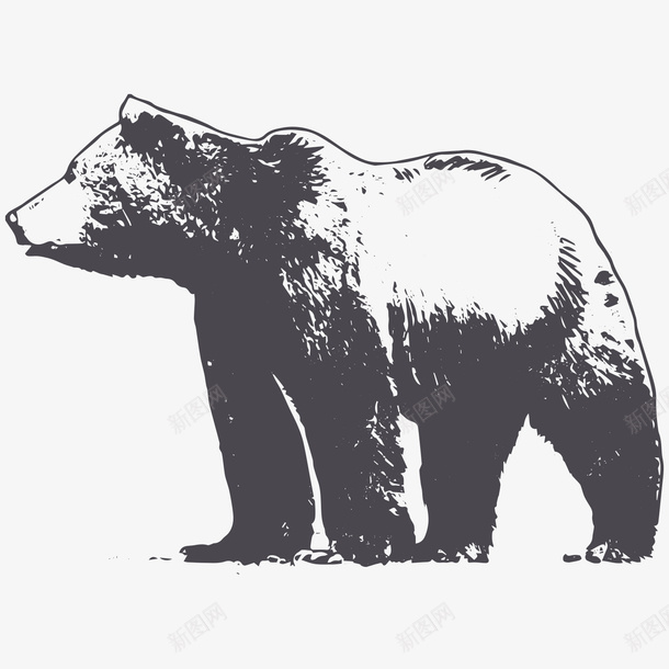 卡通手绘黑色的熊png免抠素材_88icon https://88icon.com 创意 动漫动画 动物 卡通手绘 卡通熊 黑色的熊