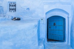 冰洞冰洞惬意动物房门忠诚高清图片