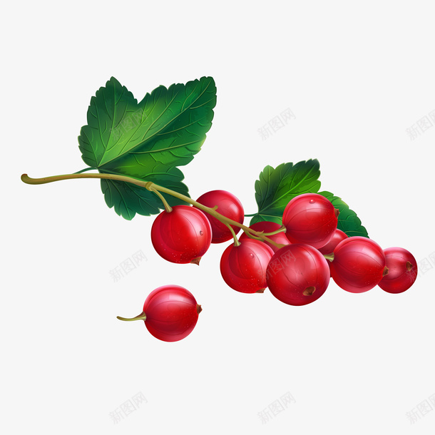 卡通手绘蔬菜装饰海报png免抠素材_88icon https://88icon.com 卡通植物插画 卡通装饰 小清新插画 广告设计 海报设计 美食 蔬菜 蔬菜插画