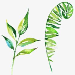 绿色创意复古合成树叶草本植物素材