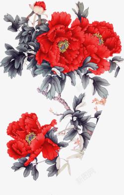 水彩合成红色的海棠花素材