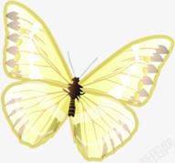 春天手绘黄色蝴蝶光效素材