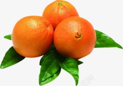 新鲜橙子蔬菜水果海报素材