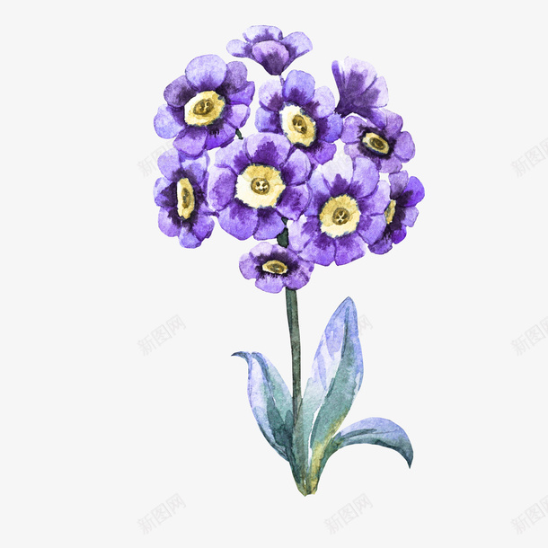 紫色手绘花矢量图eps免抠素材_88icon https://88icon.com 植物 水彩 紫色 花 矢量图