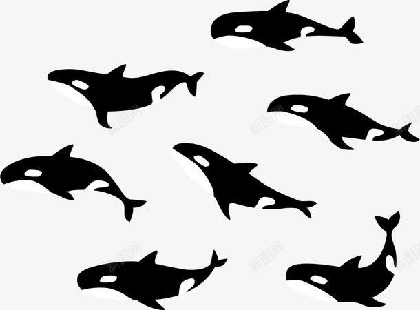 活泼的鱼矢量图ai免抠素材_88icon https://88icon.com 海中的鱼 白鳍豚 鱼跳跃 鱼鳍 鲸鱼 矢量图