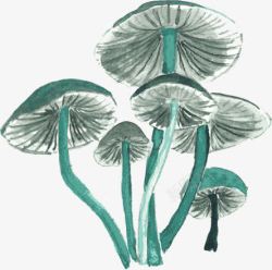 手绘创意合成水彩蓝色的蘑菇素材