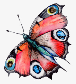 卡通手绘红色的蝴蝶素材