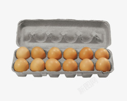 鸡蛋鸡蛋盒素材