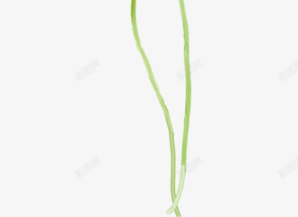创意教师节植物花朵白色效果png免抠素材_88icon https://88icon.com 创意 效果 教师节 植物 白色 花朵