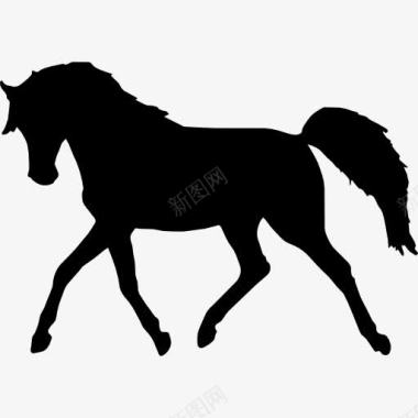 马走的黑色身影朝左图标图标