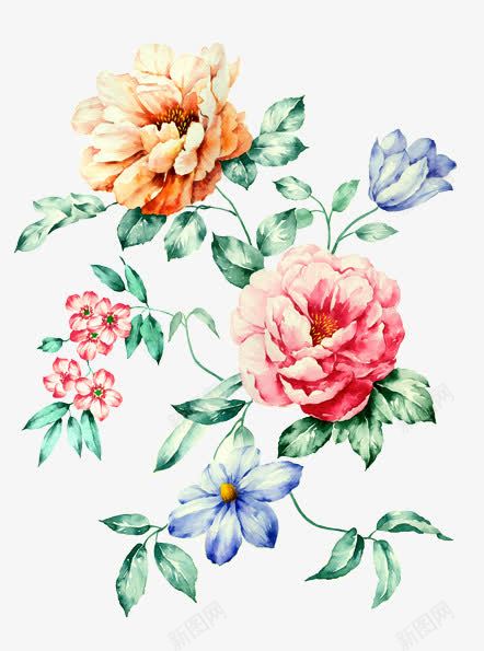 彩色水彩花朵植物装饰png免抠素材_88icon https://88icon.com 彩色 植物 水彩 花朵 装饰 设计