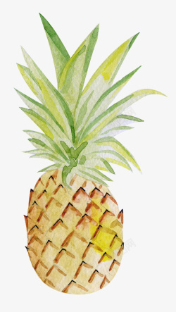卡通手绘黄色的菠萝素材