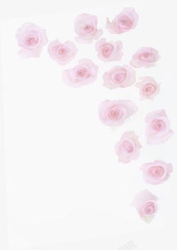粉色玫瑰浪漫婚礼海报素材