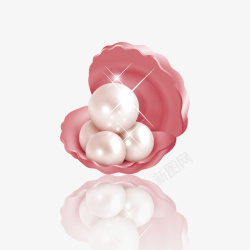 粉色简约珍珠贝装饰图案素材