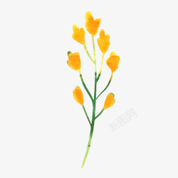 小清新水彩绘黄色花朵素材