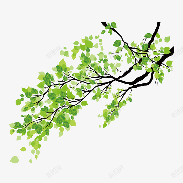 绿色植物小树png免抠素材_88icon https://88icon.com 植物小树 绿色叶片 绿色小树