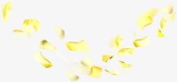 黄色手绘唯美花瓣装饰花纹素材