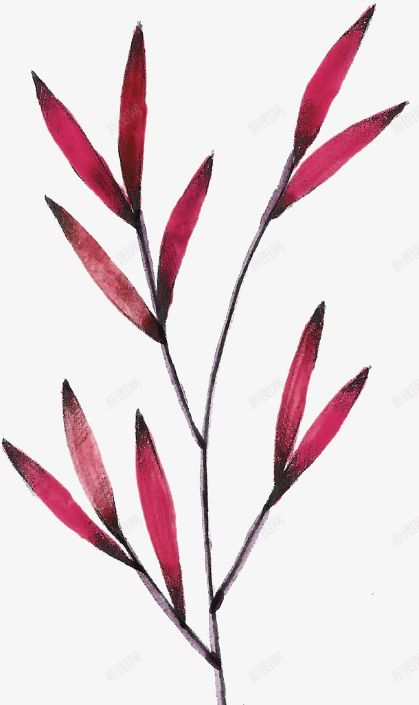 红树叶png免抠素材_88icon https://88icon.com 叶子 树叶 植物 水彩叶子 红色
