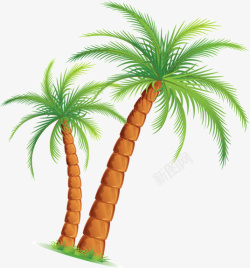 海边椰子树素材