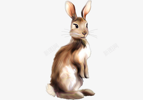 张望的小兔子png免抠素材_88icon https://88icon.com 兔子 动物 张望 手绘 水彩
