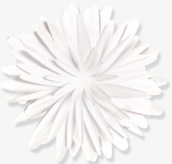 白色唯美花朵花瓣素材