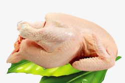 盐焗绿叶上的鸡肉高清图片