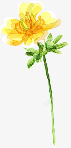 手绘黄色水彩花朵植物梦幻素材